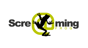 SEO Agency in India